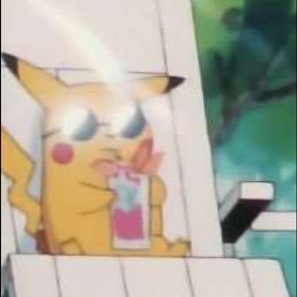 Meet your Posher, Kale - Picture 1 of 1